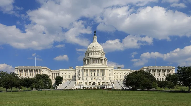 The United States Capitol in Washington D.C.