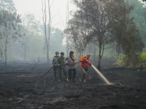 Scientists project super El Niño could cause 450,000 excess deaths